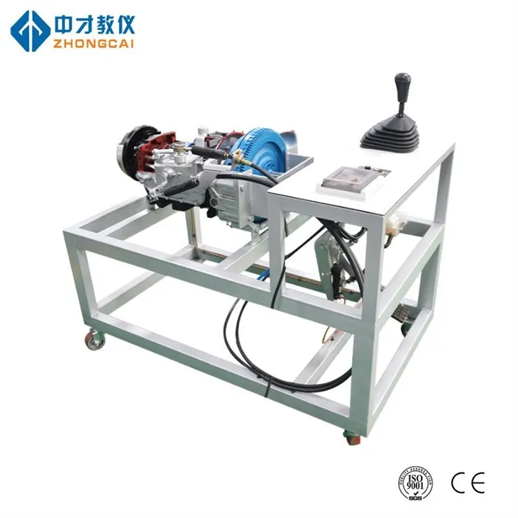 פלטפורמת תצוגת אנטומיה של שידור ידני